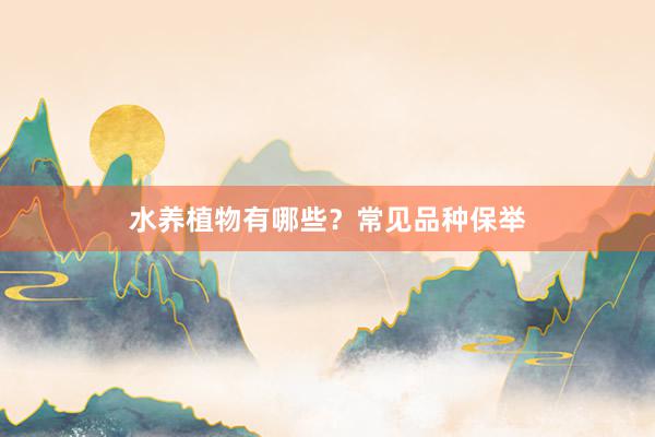 水养植物有哪些？常见品种保举