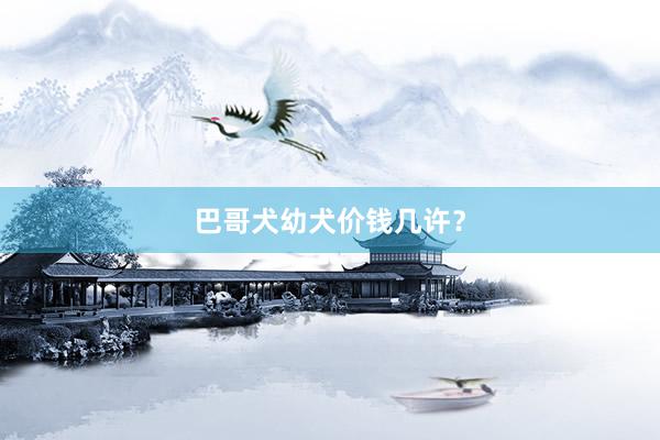 巴哥犬幼犬价钱几许？