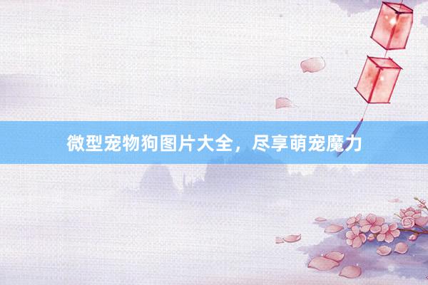 微型宠物狗图片大全,尽享萌宠魔力